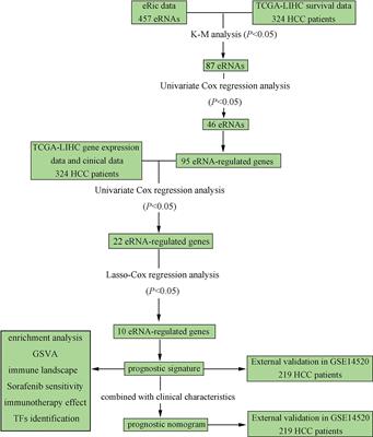 A Novel and Robust Prognostic Model for Hepatocellular Carcinoma Based on Enhancer RNAs-Regulated Genes